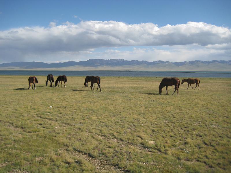 20110715_Koschkor-Song-Kul 097.JPG